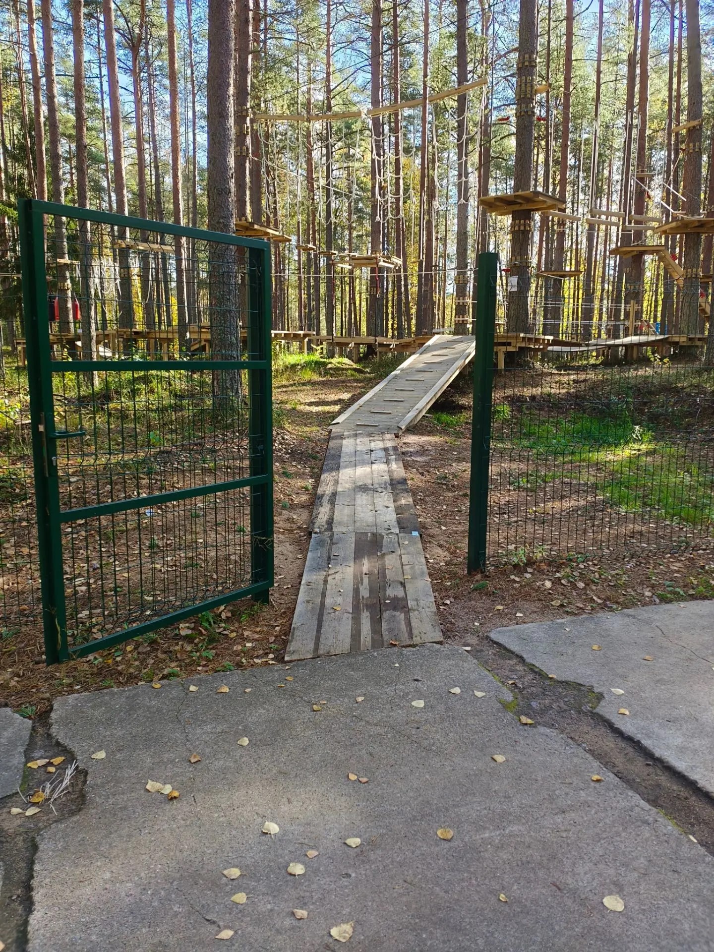 среда (9)
